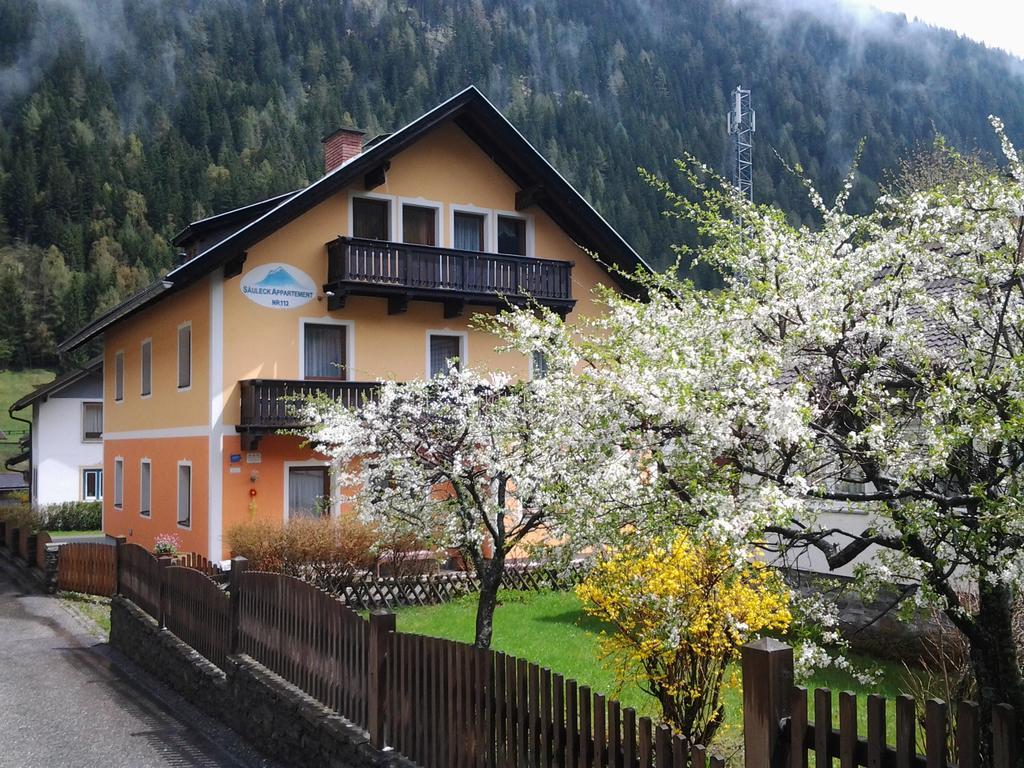 Saeuleck Appartement Inkl Skibus Mallnitz Exterior photo
